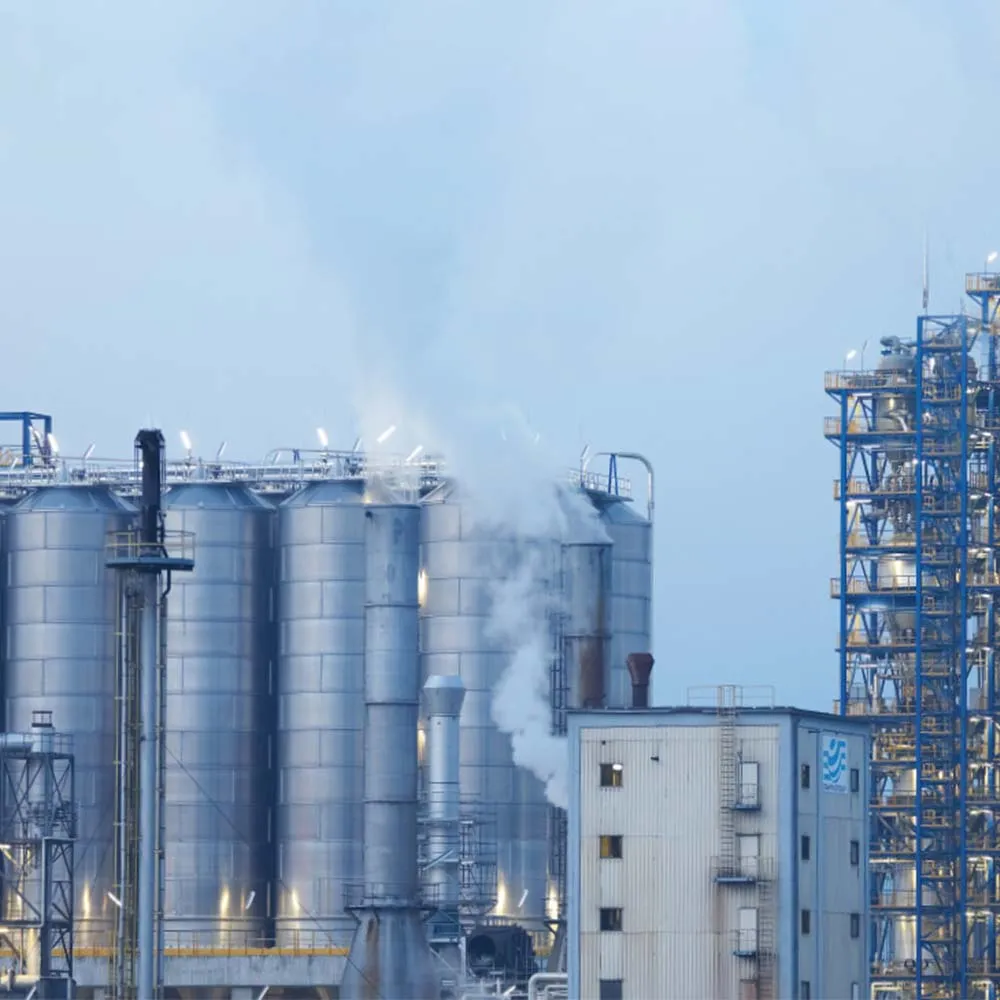 Petrokimya Sektörü